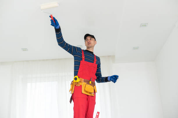 Reliable Creve Coeur, IL Dry wall and painting Solutions